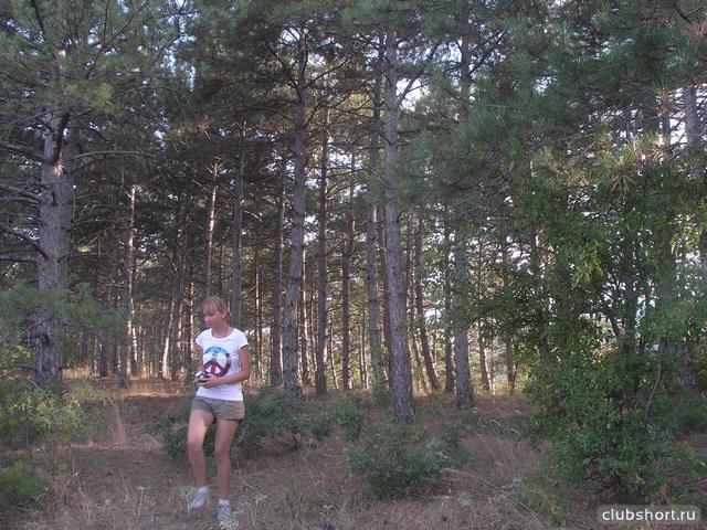 45791_4023-8c2a6-53141895-u39490.jpg